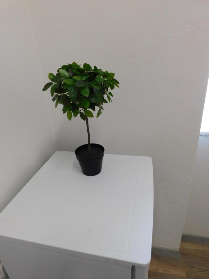 Ledek Apartment ลูบลิยานา ภายนอก รูปภาพ
